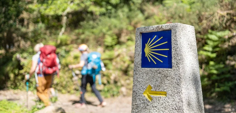 Camino de Santiago Pamplona - El Camino de Santiago a su paso por Pamplona: lo que no te puedes perder