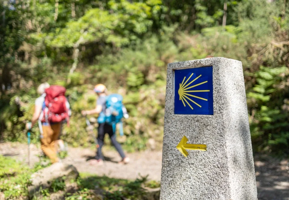 Camino de Santiago Pamplona - El Camino de Santiago a su paso por Pamplona: lo que no te puedes perder