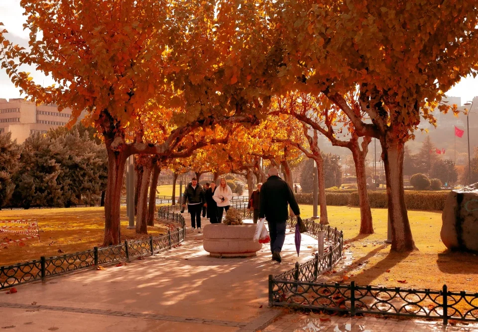 Pamplona en otono - Pamplona en otono: que ver, hacer y donde alojarse